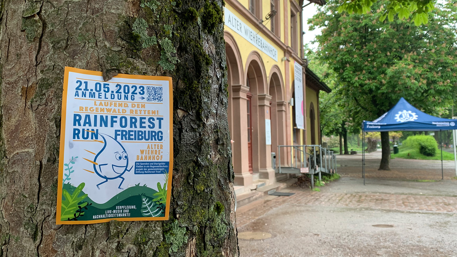 Mit Sport den Regenwald retten » uniCROSS
