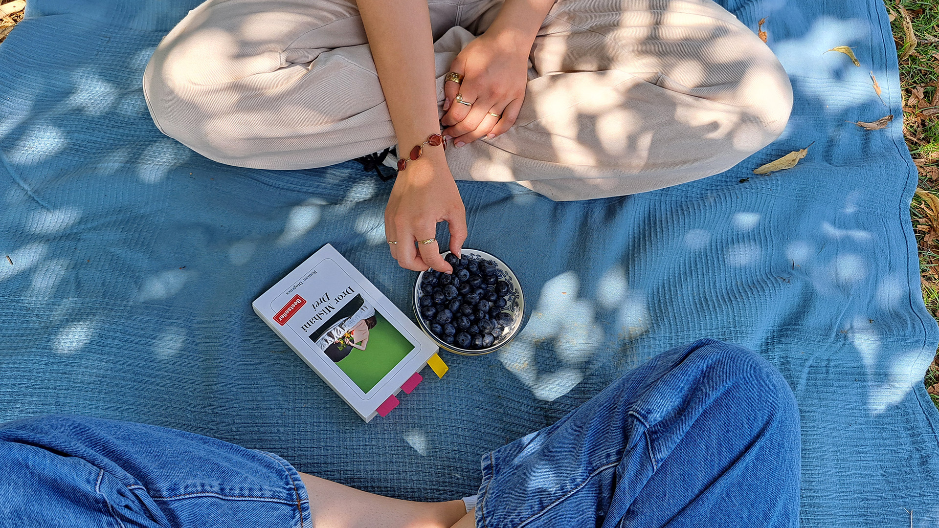  Beitragsbild Picknick gegen Einsamkeit