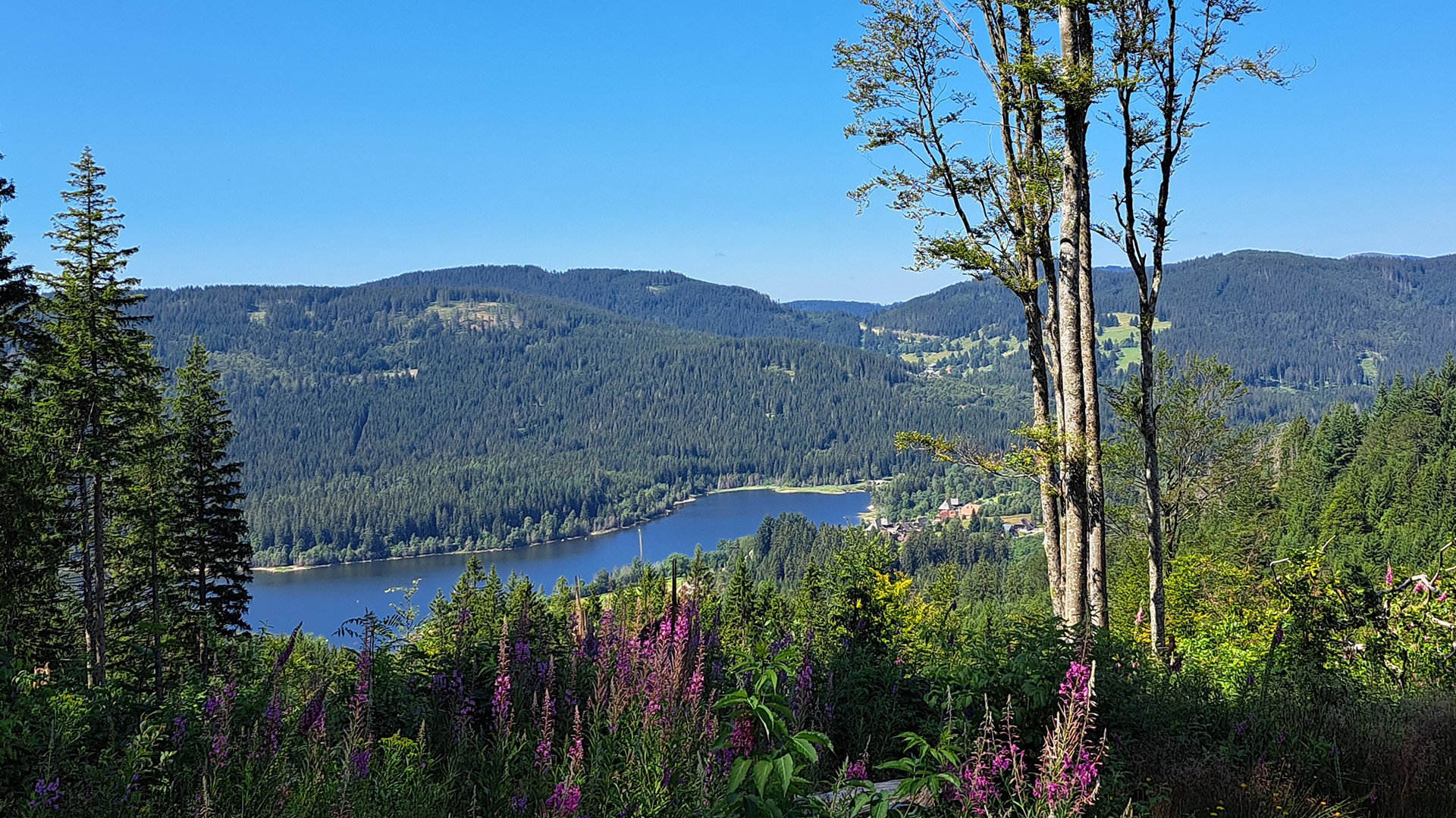  Beitragsbild Wandertipps für den Sommer