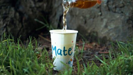 Mate – mehr als nur eine Limo